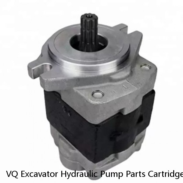 VQ Excavator Hydraulic Pump Parts Cartridge Kit