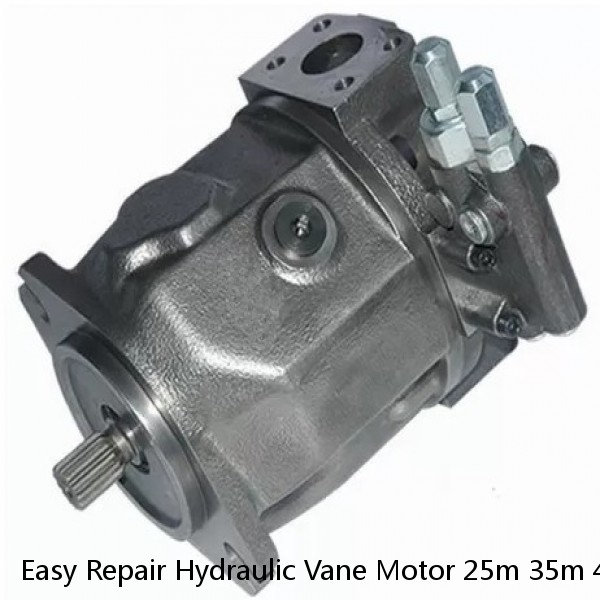 Easy Repair Hydraulic Vane Motor 25m 35m 45m For Elevator Scraper Drives
