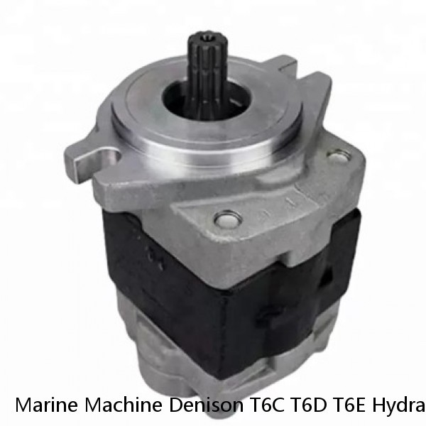 Marine Machine Denison T6C T6D T6E Hydraulic Vane Pump #1 small image