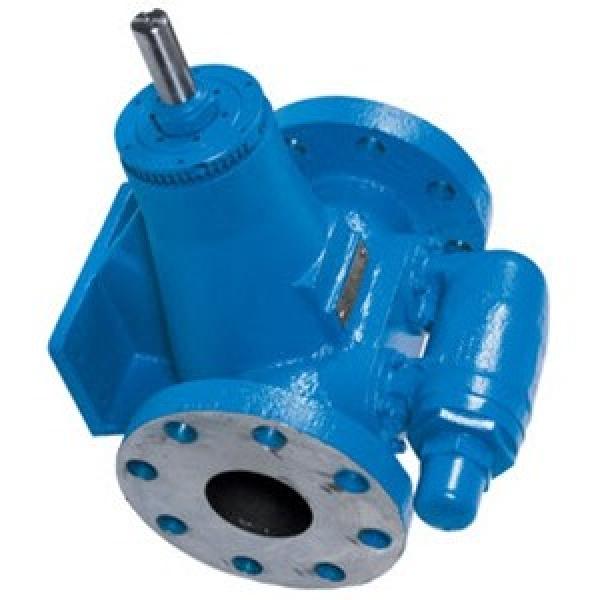 Denison PVT10-1R1D-L03-AA0 Variable Displacement Piston Pump #1 image