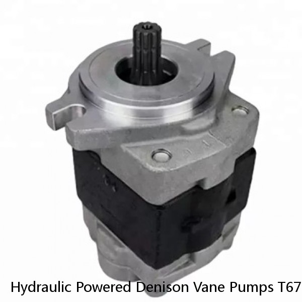 Hydraulic Powered Denison Vane Pumps T67B B09 For Rubber And Plastics Machinery #1 image